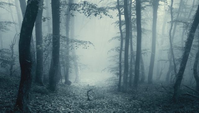 As Congress pushes crypto legislation, environmental advocates warn it could come with a heavy energy cost.