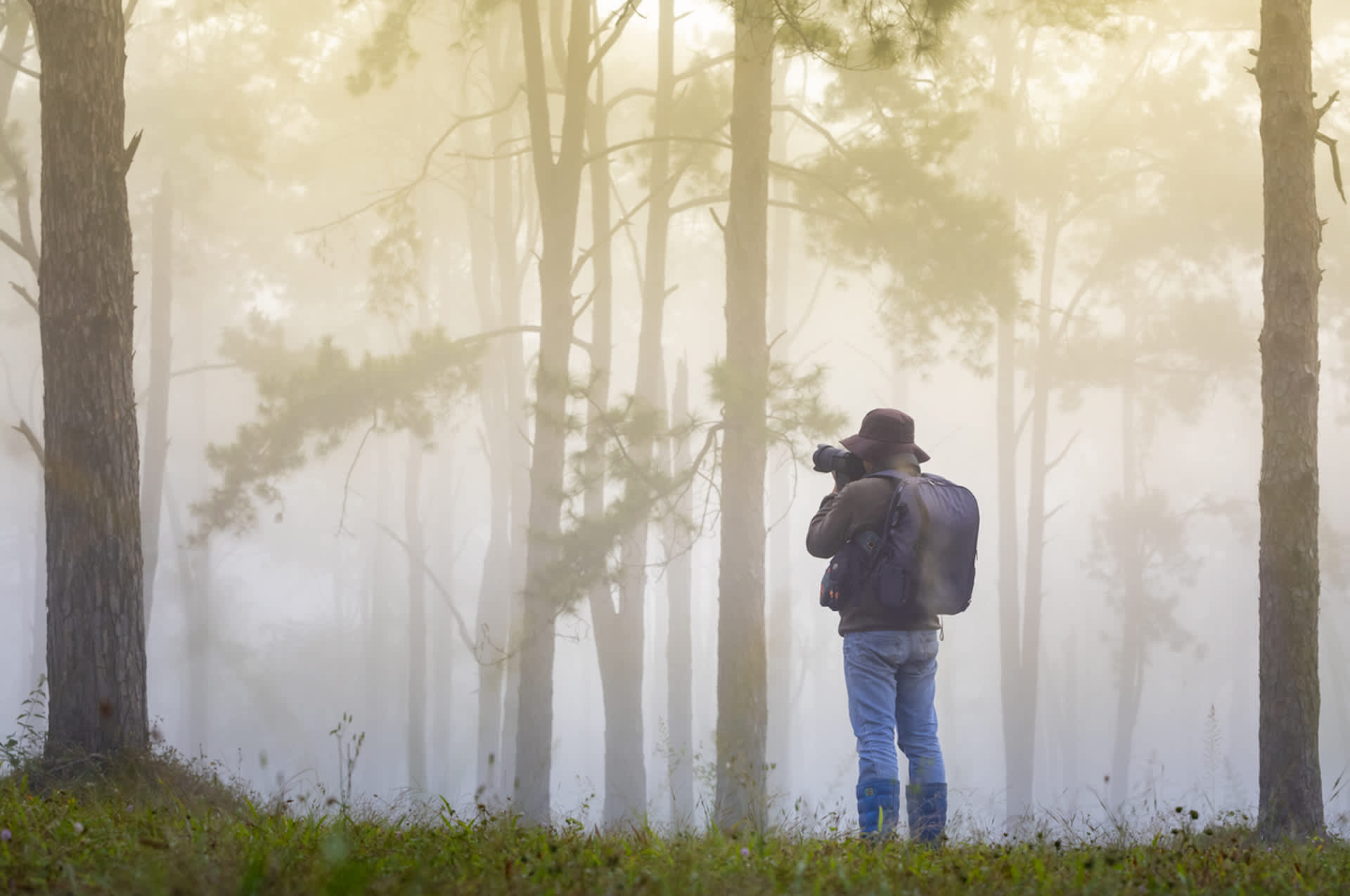 There are worrying declines in the Eurasian curlew's population, but a stunning new image will help raise awareness for this endangered species.