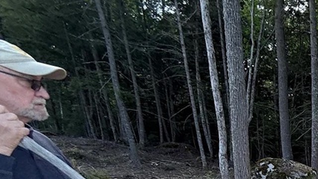 A post on Reddit's r/TreeLaw forum is sparking outrage, centering on a poster's experience of property line aggression.