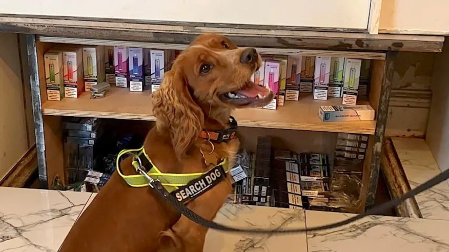 Authorities stunned after discovering high-tech secret compartments at retail store: 'Blatant disregard for the law' Authorities stunned after discovering high-tech secret compartments at retail store: 'Blatant disregard for the law'