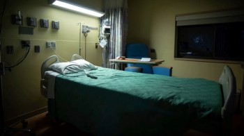 Researchers found that the rising temperature of the Earth is massively increasing cases of dengue fever.