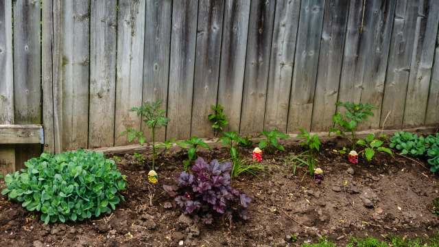 One Redditor was outraged after his neighbor destroyed a garden of 6,000 seeds — an action the neighbor thought was kind.