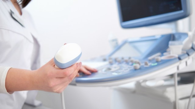 The presence of microplastics in menstrual blood prompted one student scientist to investigate their potential role in the development of endometriosis.