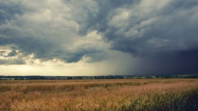 Researchers found that regions that receive substantial rainfall from moisture recycled from land were more vulnerable to drought.