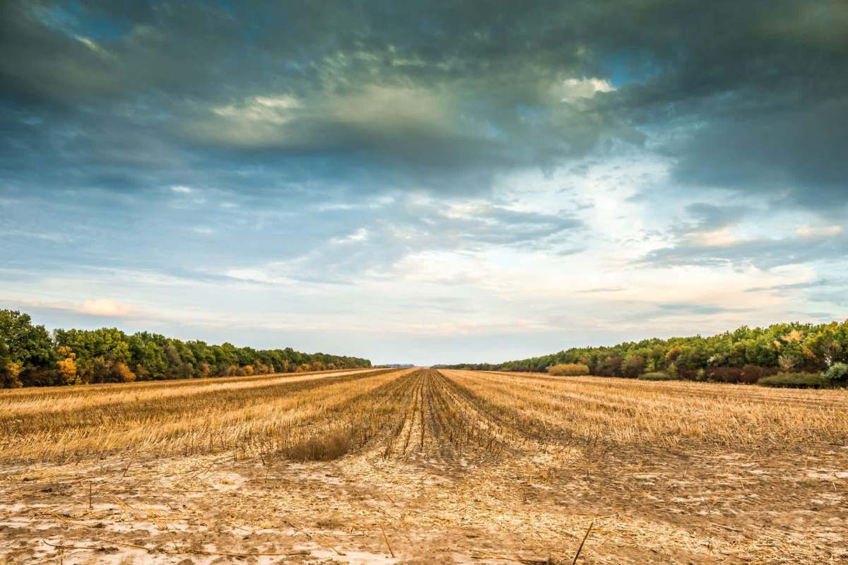 Ukraine's Kharkiv region has experienced three consecutive years of declining crop yields, despite farmers' maintaining or increasing their investments into the land.
