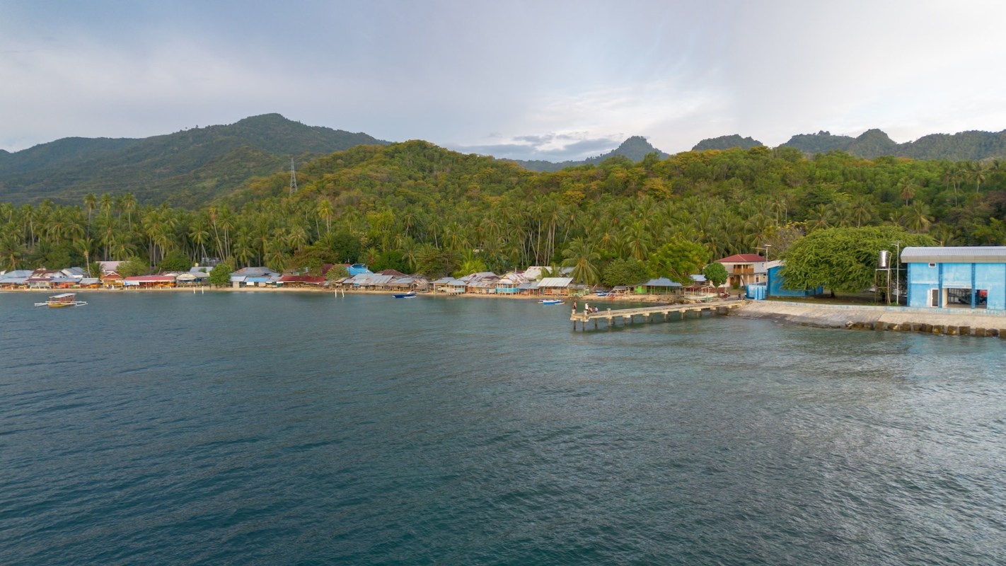 A dugong calf was spotted near the coast of the island of Alor, where conservationists have been monitoring marine wildlife since 2016.
