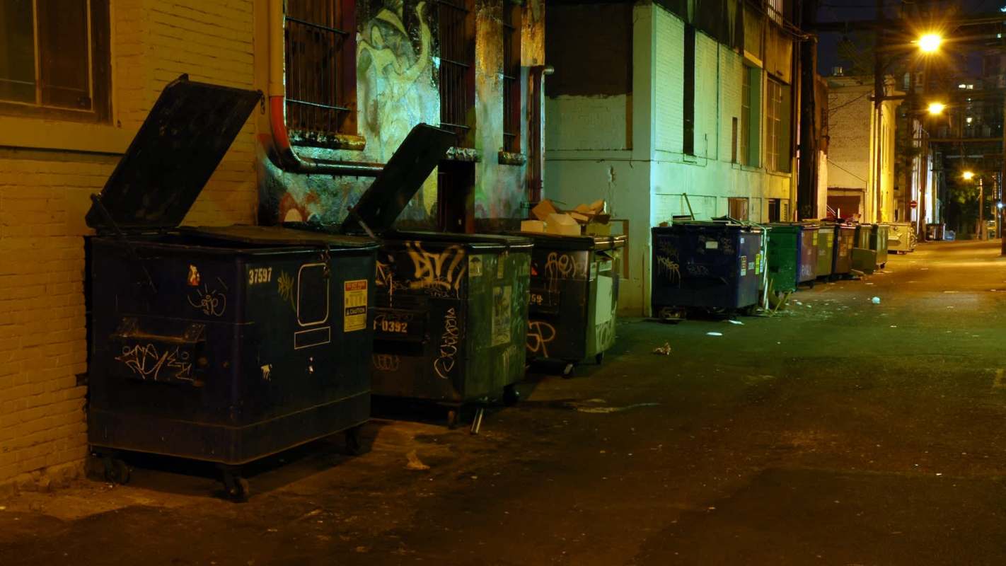 One individual showcased an enormous haul of dumpster diving, showing just how much perfectly good food gets thrown out.