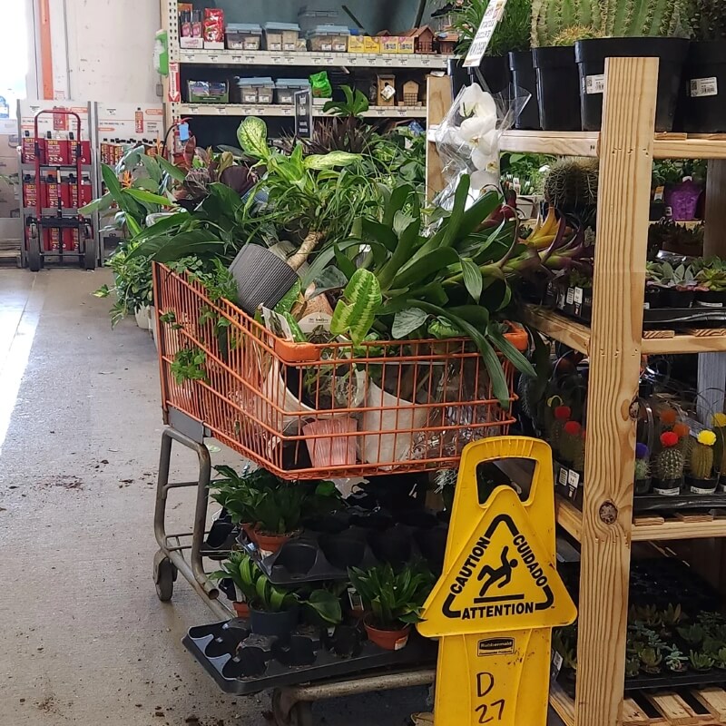 One Reddit user shared the story of their frustration with Home Depot plant waste, where they were prevented from buying discounted items.