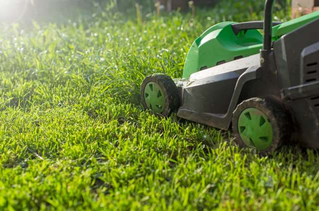 When one homeowner's gas mower finally gave out, they decided to take a chance on an electric replacement.
