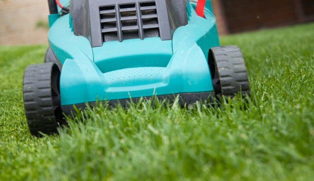 One Redditor shared how electric lawnmowers are lighter, quieter, and offer a cleaner alternative to gas-powered models.