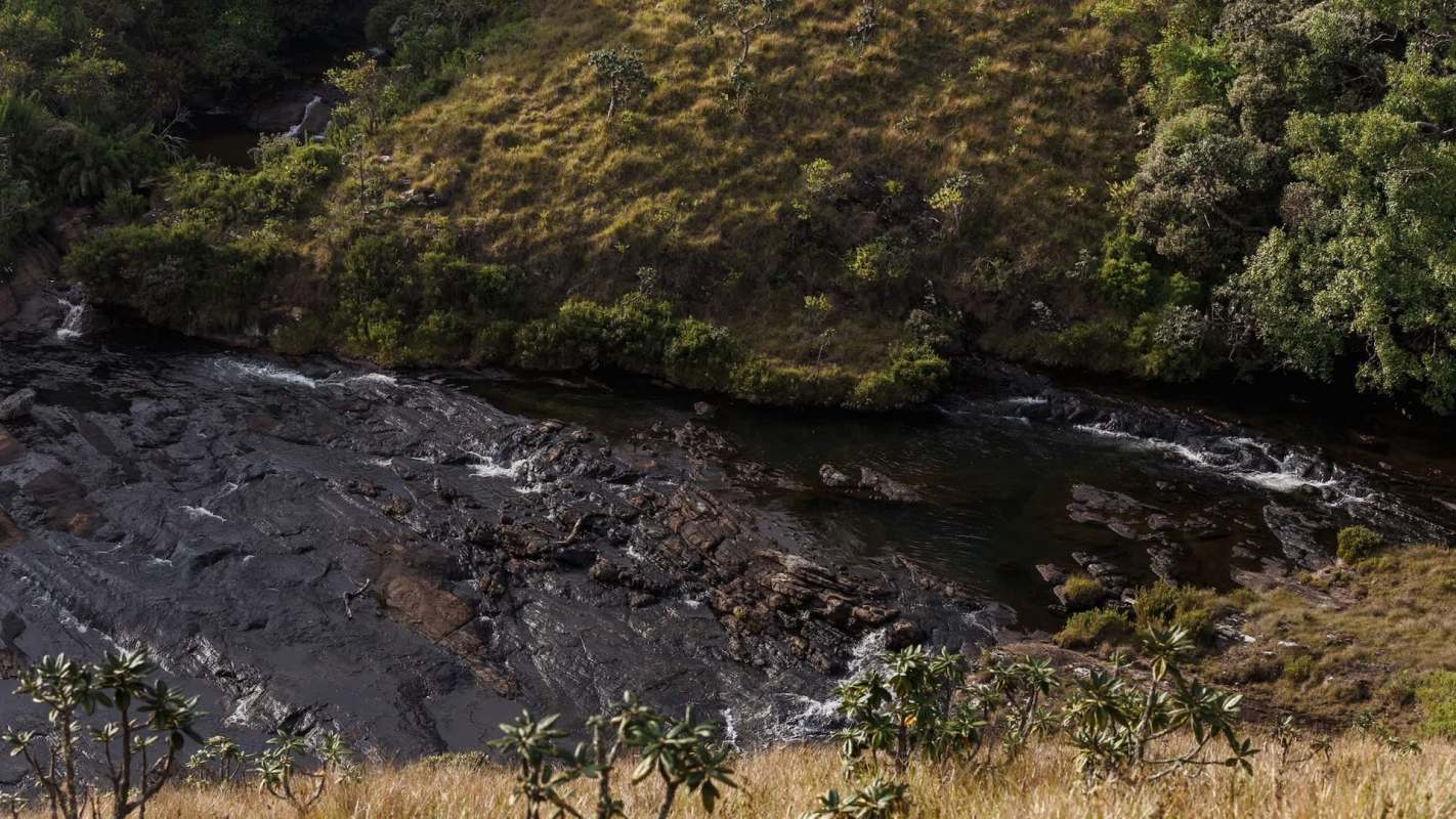 One person ended up in custody after trying to sell the largest single haul of elephant's pearls in Sri Lanka.