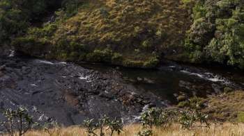 One person ended up in custody after trying to sell the largest single haul of elephant's pearls in Sri Lanka.