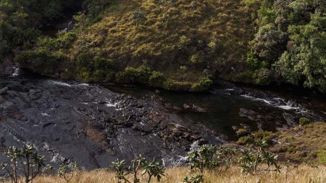 One person ended up in custody after trying to sell the largest single haul of elephant's pearls in Sri Lanka.