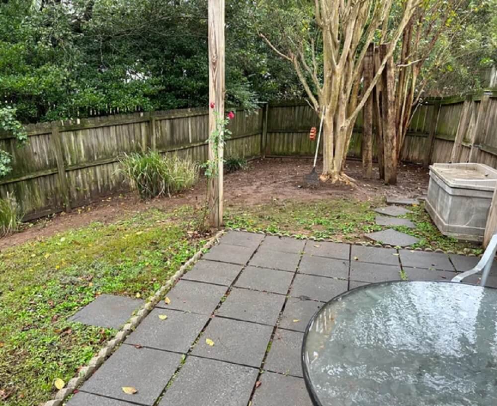 One Reddit user shared a stunning before-and-after post of the work they did to remove invasive English ivy.