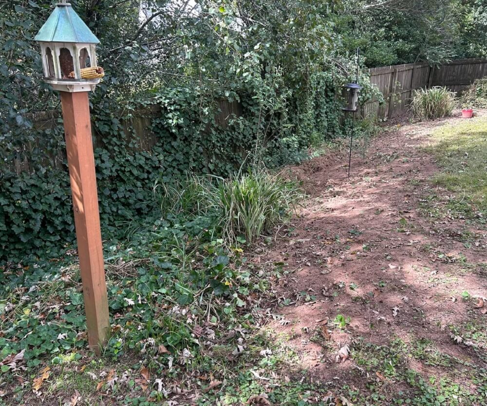 One Reddit user shared a stunning before-and-after post of the work they did to remove invasive English ivy.