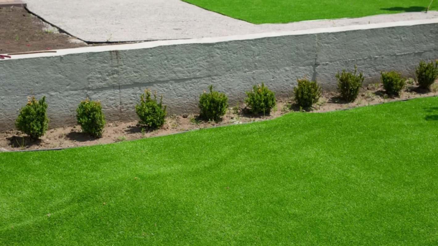 Los Angeles is considering a ban on fake grass fields amid concerns about the health effects of the chemicals in this material.
