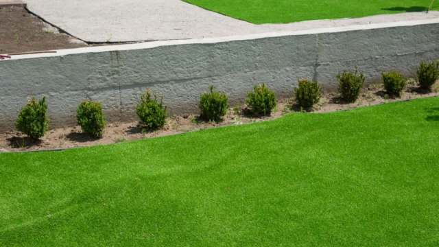 Los Angeles is considering a ban on fake grass fields amid concerns about the health effects of the chemicals in this material.