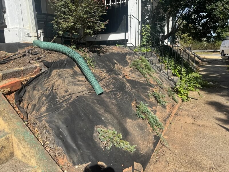 One Redditor was fed up with a terrible tarp-covered yard. Now, they're looking for help on what to do with the space.
