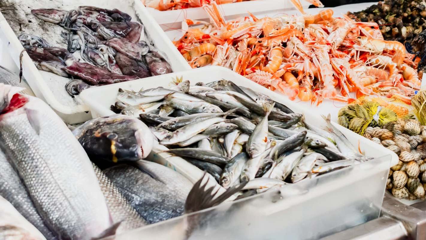 An MIT senior took on the global plastics crisis with an unlikely hero: fish scales.