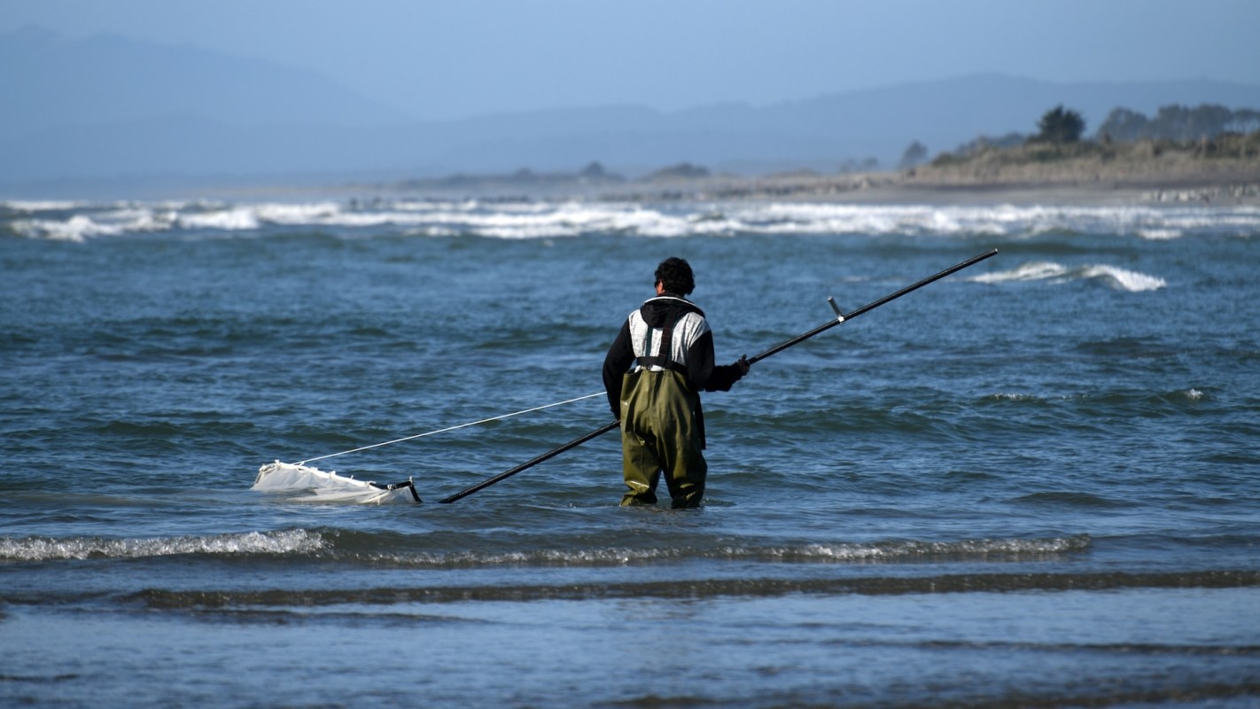 The Our Marine Environment 2025 report examines how extreme weather events are endangering New Zealand's financial and environmental well-being.
