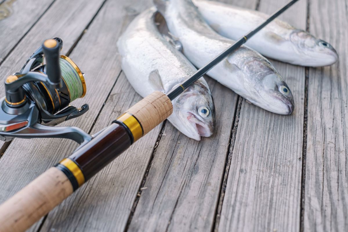 Officials warned against harvesting seafood in the waters of Bais and Manjuyod in Negros Oriental after an ethanol distillery plant discharged millions of gallons of wastewater.