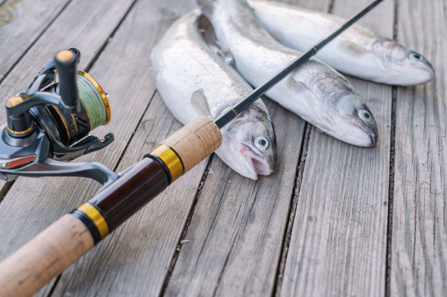 Officials warned against harvesting seafood in the waters of Bais and Manjuyod in Negros Oriental after an ethanol distillery plant discharged millions of gallons of wastewater.