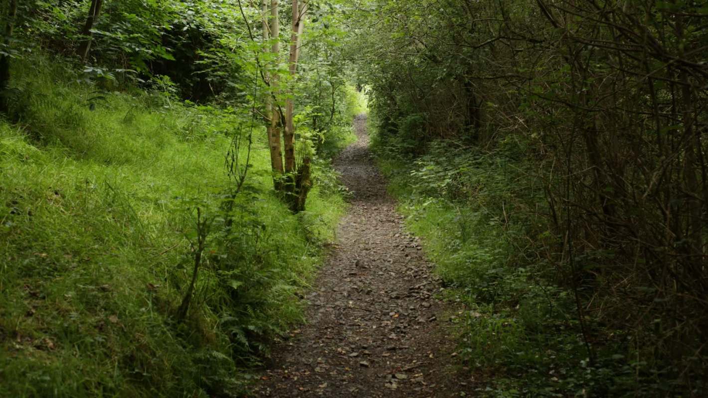 One resident of Frenchay, South Gloucestershire, is now facing nearly £1,000 ($1,300) in fines after committing an illegal fly-tip.
