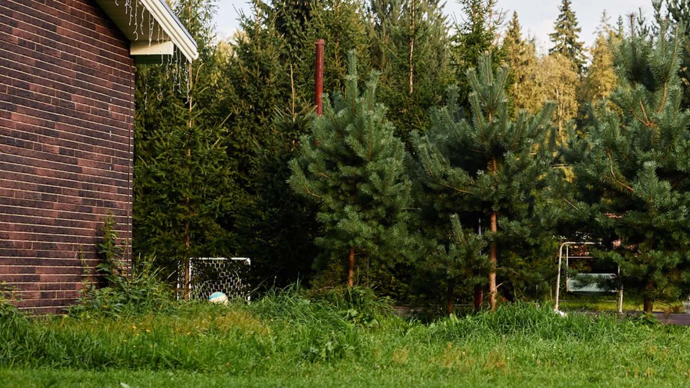 One Reddit user shared a photo of a fox seeking reprieve from a storm in their yard, using a cat's chalet as shelter.
