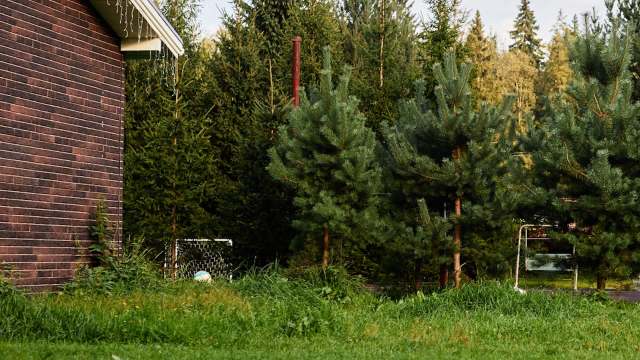 One Reddit user shared a photo of a fox seeking reprieve from a storm in their yard, using a cat's chalet as shelter.