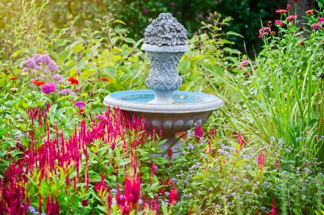 A mom and her young child were delighted when a tiny frog decided to move into the backyard habitat they'd built.