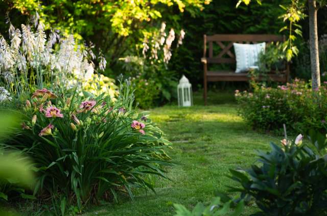 One gardener found an unexpected surprise in her garden — a friendly frog.