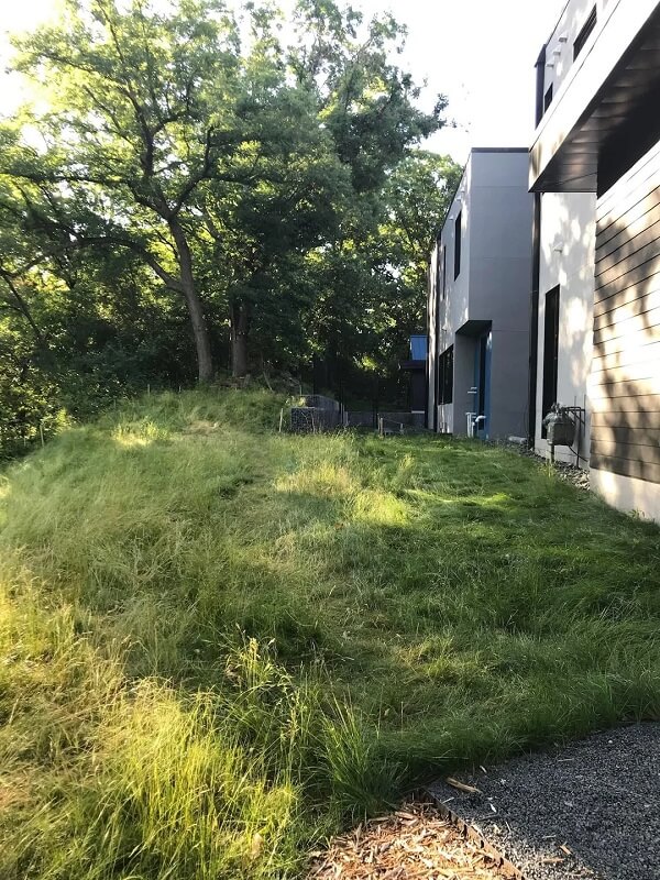 Plain and monotonous grass lawns are out, while diverse and pollinator-friendly gardens are in.