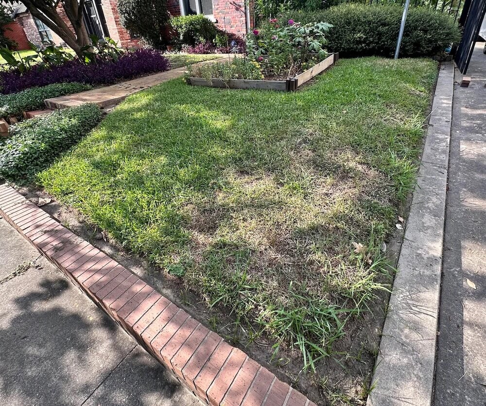 One person's front-lawn transformation has inspired the gardening community. 