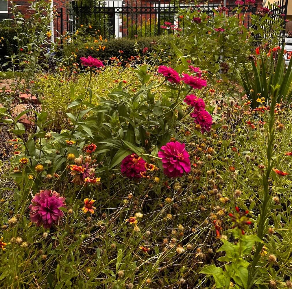 One person's front-lawn transformation has inspired the gardening community.