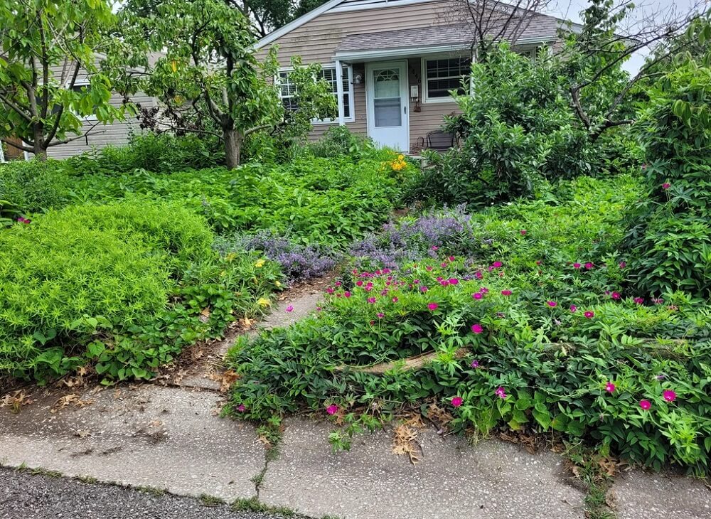 One Redditor shared a photo of a drastic native landscaping job, leading to a heated debate about gardening.