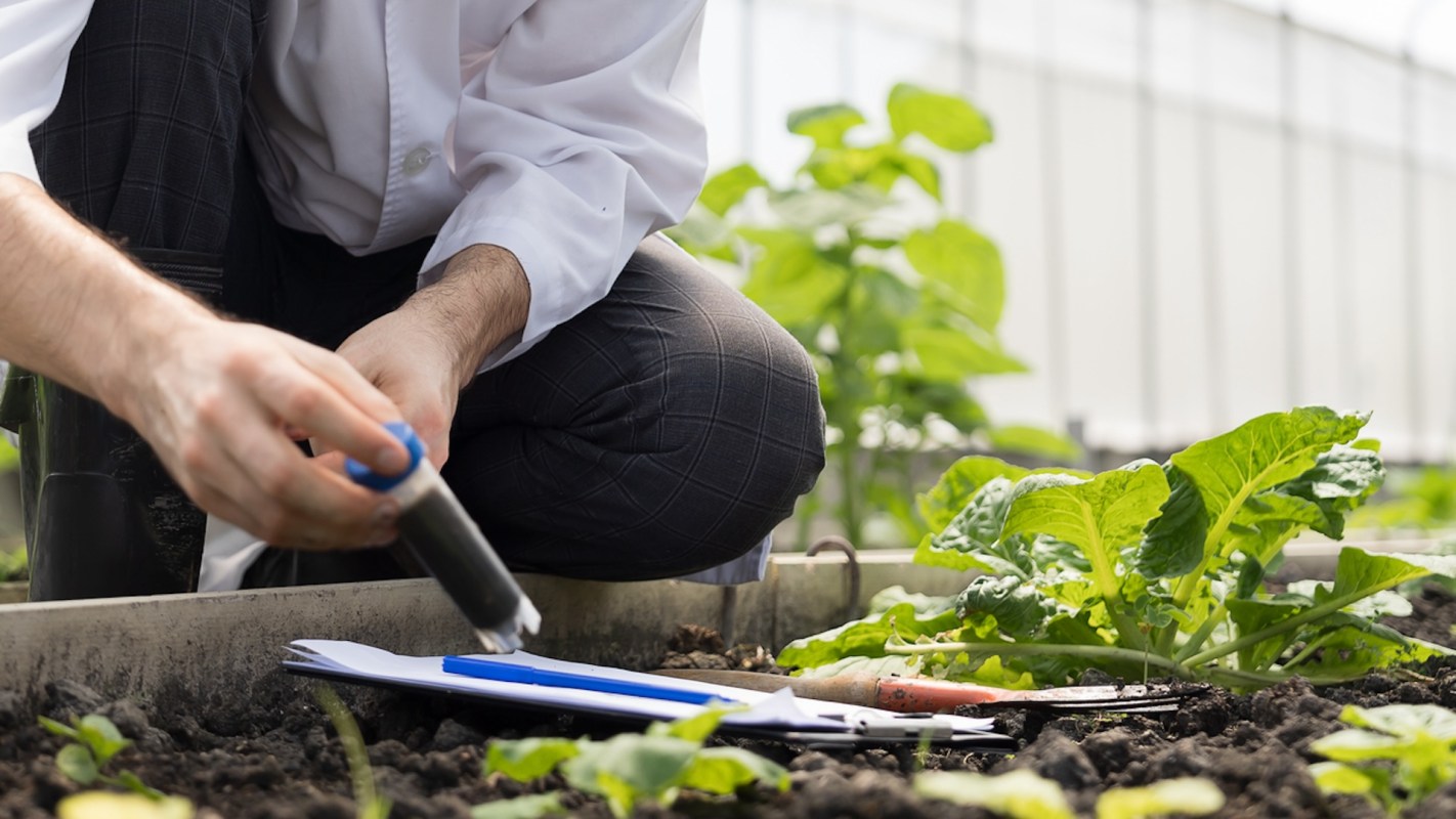 A 23-year-old Kenyan student has created biodegradable seedling pots made out of discarded pineapple peels.