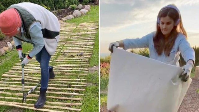 One clever gardener shared their secret of how to make a hot tower bed to keep crops thriving throughout the winter.