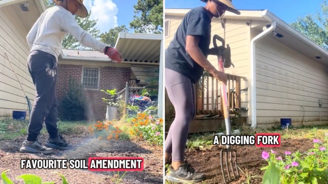 TikToker Adrienne's shares her no-till gardening method, revealing how keeping the soil planted leads to incredible results.