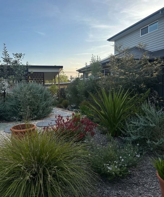 One Reddit user showed how they transformed their boring lawn into a vibrant native plant garden — saving money and water in the process.