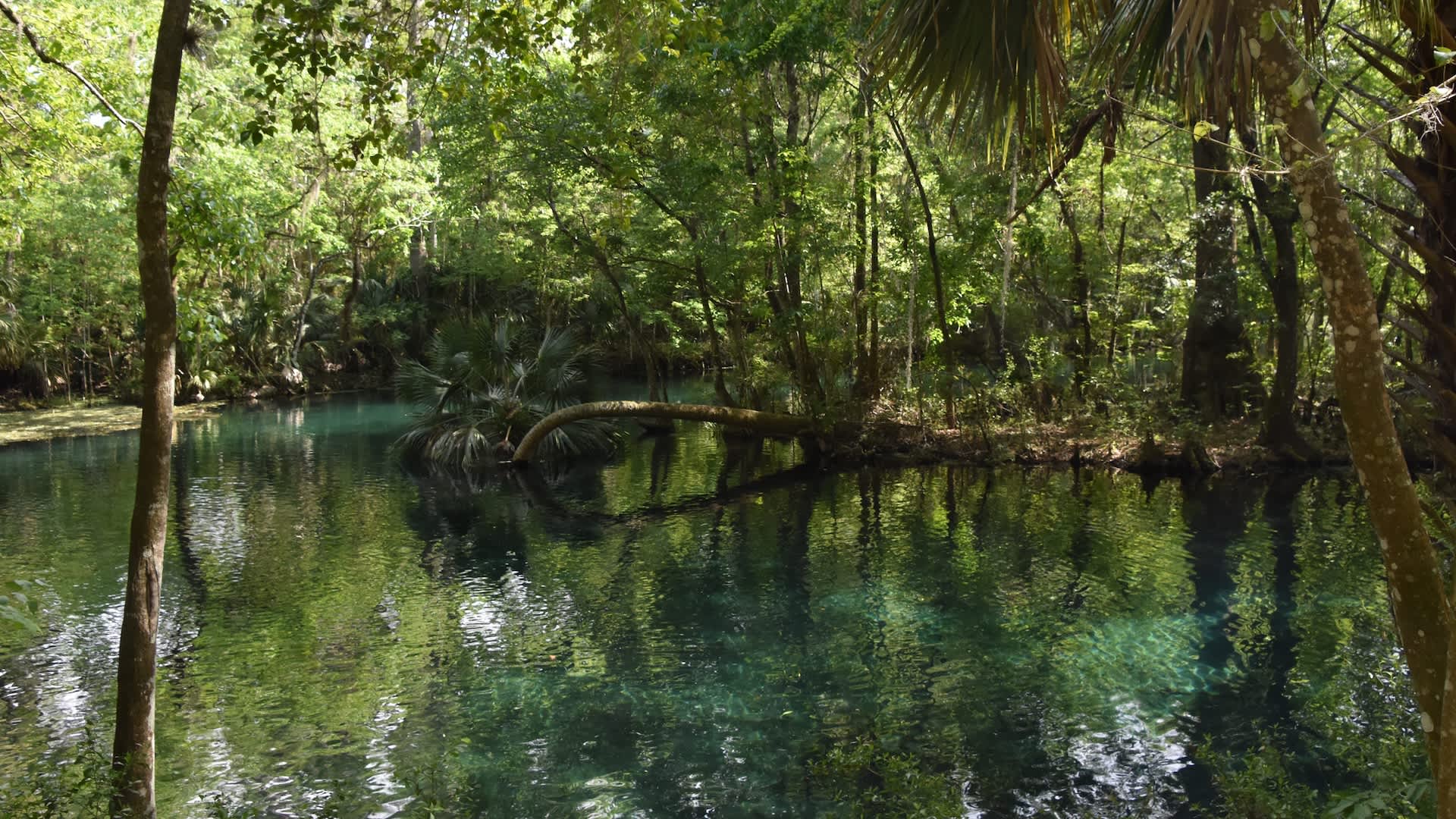 Man shares 'heartbreaking' video after holiday crowds wreak havoc on beloved nature spot: 'It was only a matter of time'