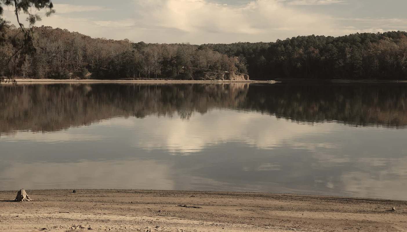 Giant salvinia has been spotted in a South Carolina lake, indicating the potential return of an outbreak that plagued the state more than three decades ago.