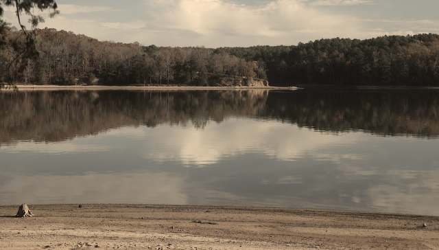 Giant salvinia has been spotted in a South Carolina lake, indicating the potential return of an outbreak that plagued the state more than three decades ago.