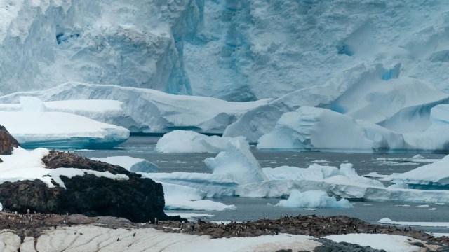 Norway's controversial proposal to increase krill harvesting is threatening Antarctic conservation efforts.