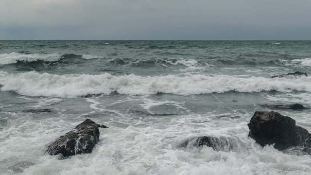 The Baltic gray seal is vulnerable to the negative impacts of rising temperatures and pollution, so Lithuania is working to protect them.
