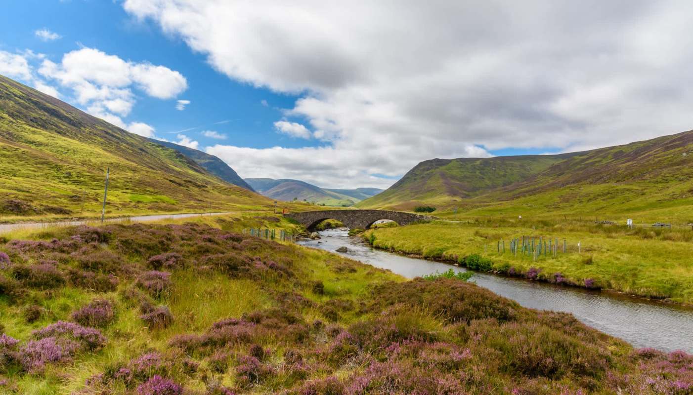 Staff at a wildlife rescue center had to transport an injured bird on a 35-mile journey to get an X-ray of her beak.