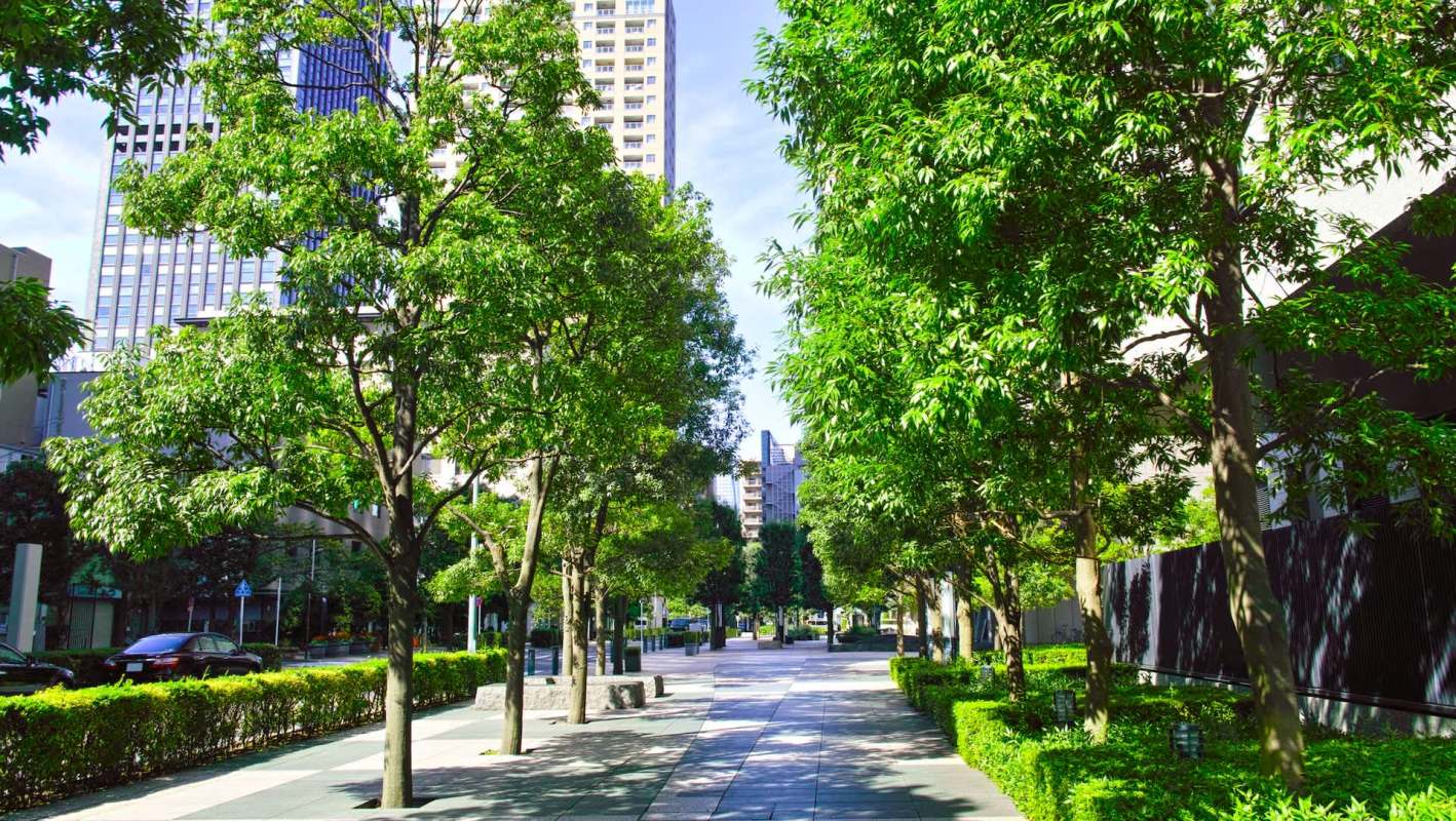 Researchers have discovered that green roofs can help filter out microplastics from urban rain.