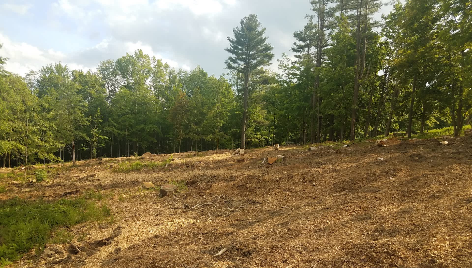 US officials shut down more than 10,000-acre operation after uncovering illegal use of state property: 'Requires additional ... review'