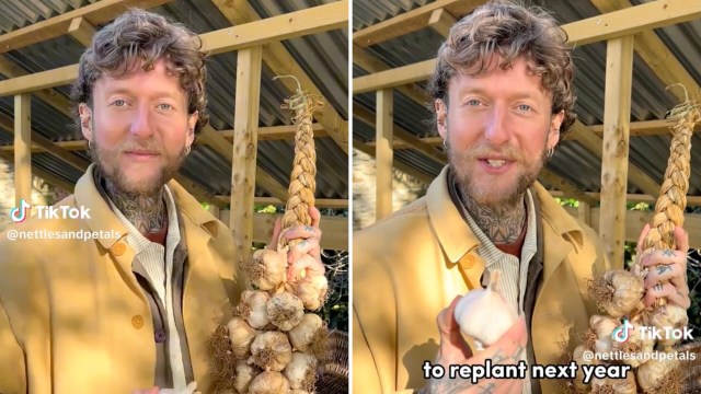 One TikToker demonstrated how easy it is to grow your own garlic.
