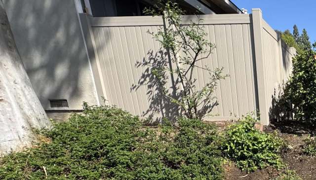 One guerrilla gardener got fed up with their HOA and took matters into their own hands to beautify a balding garden.