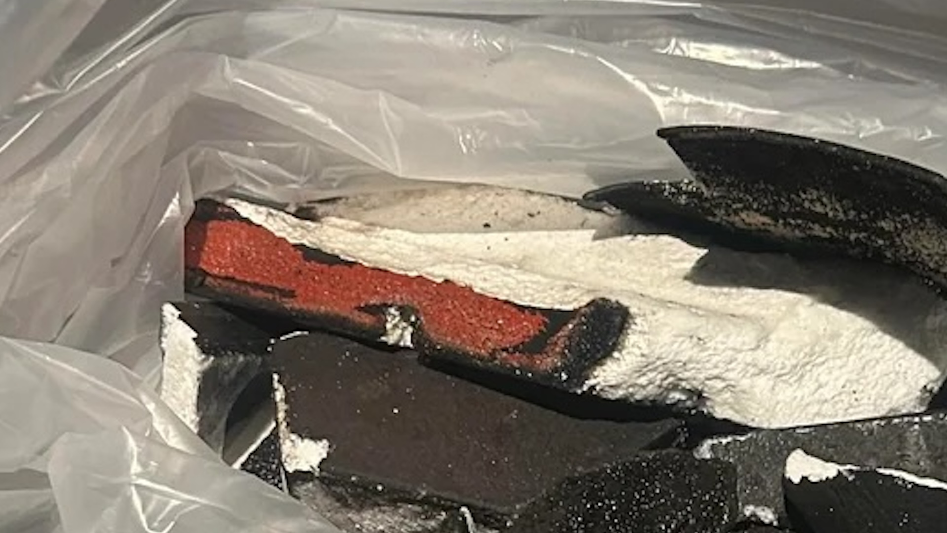 Man shares unbelievable photos after SpaceX explosion: 'Elon needs to take this into account for the future'